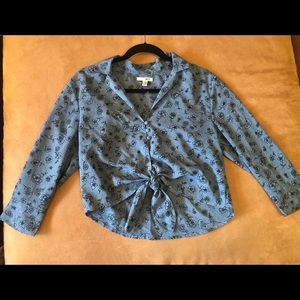 Amuse society cropped button up